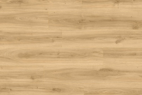 Moduleo LayRed 24844 Classic Oak Built-in Underlay MODLR40829SP