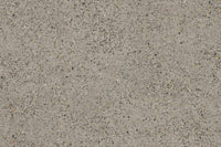 Polyflor Expona PUR Grey Terrazzo Gluedown LVT 5128