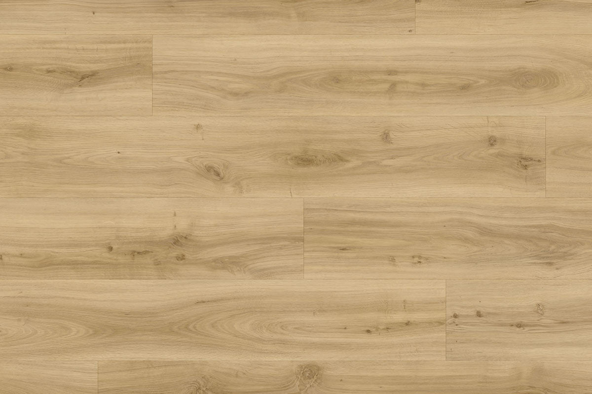 Moduleo Roots 24230 Classic Oak LVT Gluedown Plank RO24230SDP41199