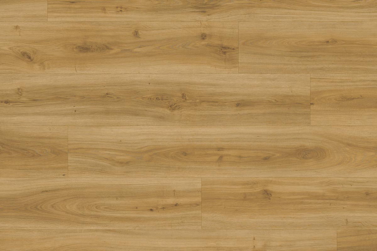 Moduleo Roots 24235 Classic Oak LVT Gluedown Plank RO24235SDP40826