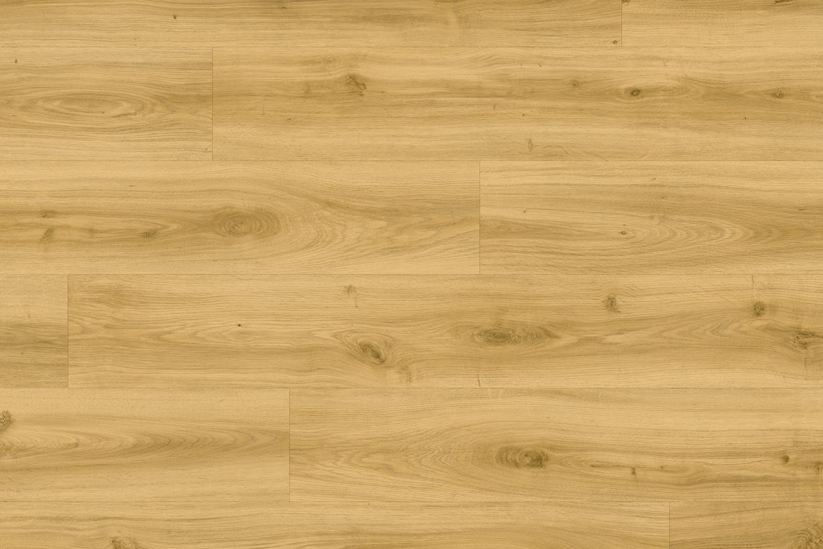 Moduleo Roots 24430 Classic Oak LVT Gluedown Plank RO24430SDP41200