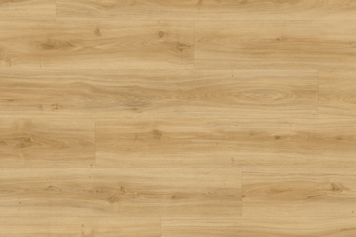 Moduleo Roots 24837 Classic Oak LVT Gluedown Plank RO24837SDP40828