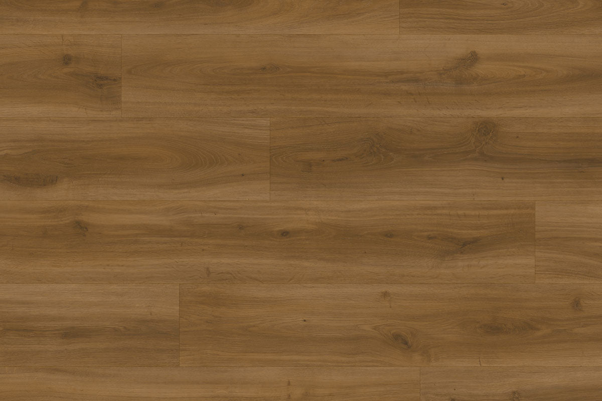 Moduleo Roots 24888 Classic Oak LVT Gluedown Plank RO24888SDP41290