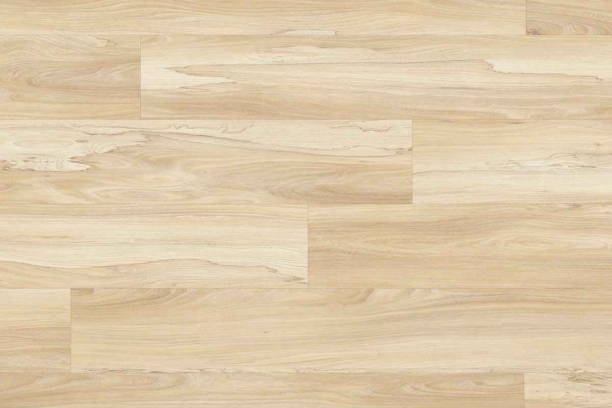 Moduleo Roots 22326 Marsh Wood LVT Gluedown Plank RO22326SDP40661