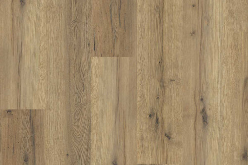 Polyflor Expona PUR Everglade Oak Gluedown LVT 4101