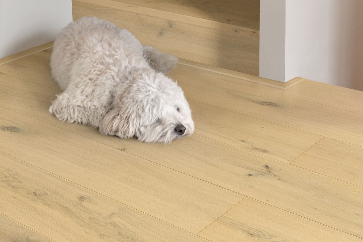 Quick-Step Cala Pearl White Oak Extra Matt Waterproof Wood Flooring Cal7448