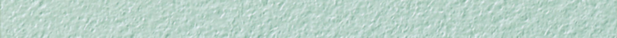 Karndean Design Strip DS17-10-2.5 Silver 10mm(w) x 2.5mm(t)